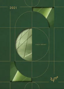 Public report - 2021