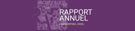 Rapport annuel - 2020