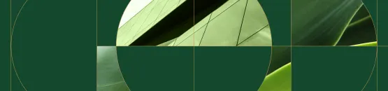 Bannière-publication-RA