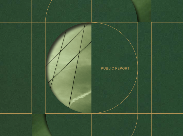Public report - 2021