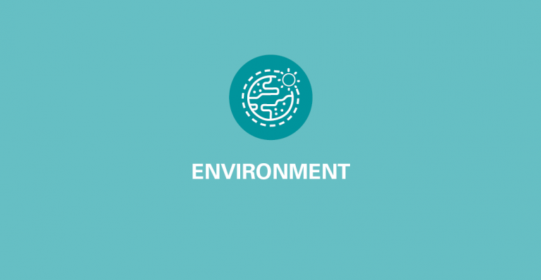 Environment
